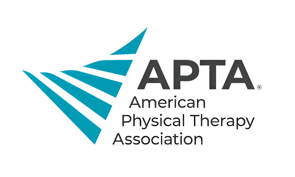 American Physical Therapy Association