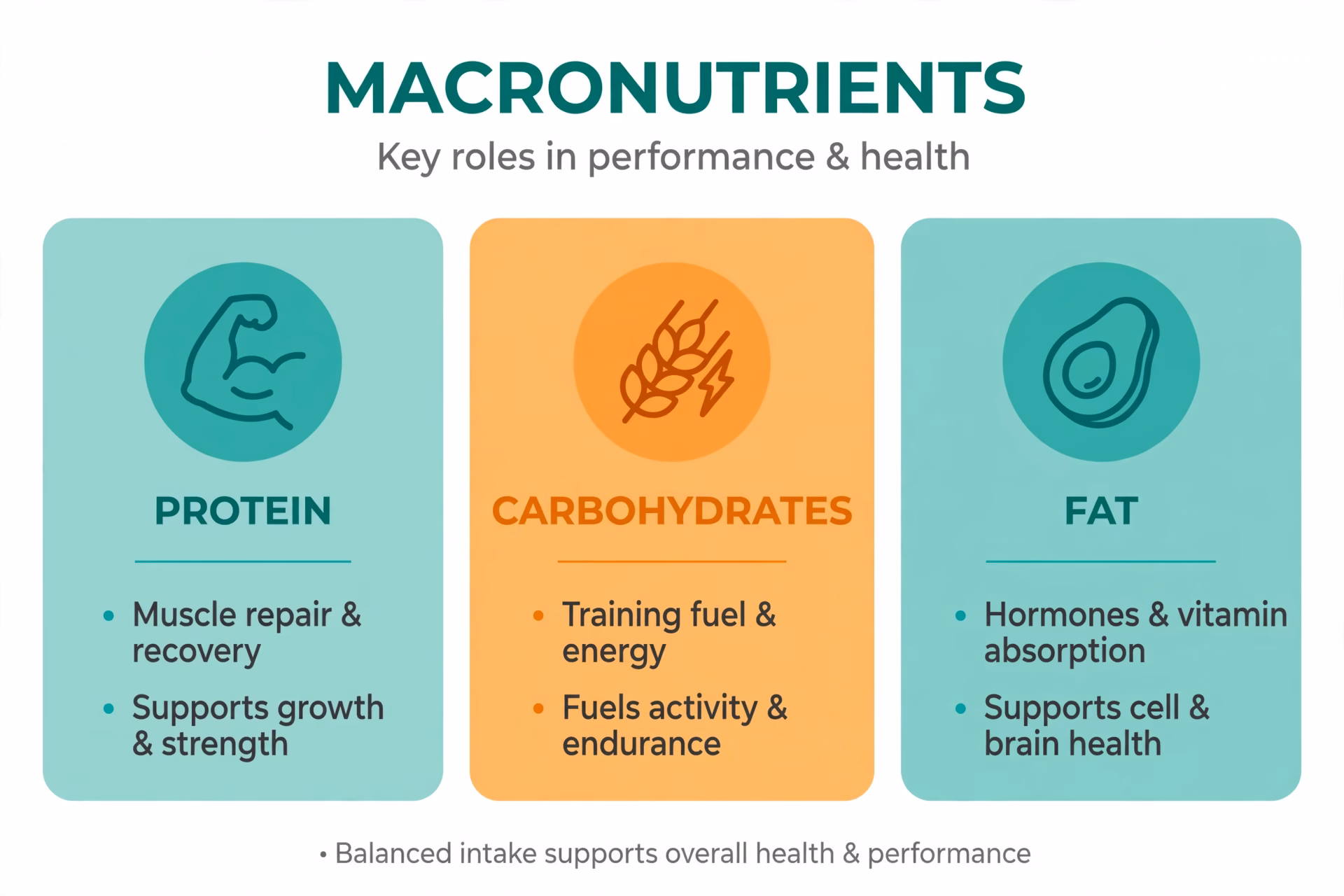 Infographic showing the roles of protein for muscle repair, carbohydrates for training fuel and fat for hormones